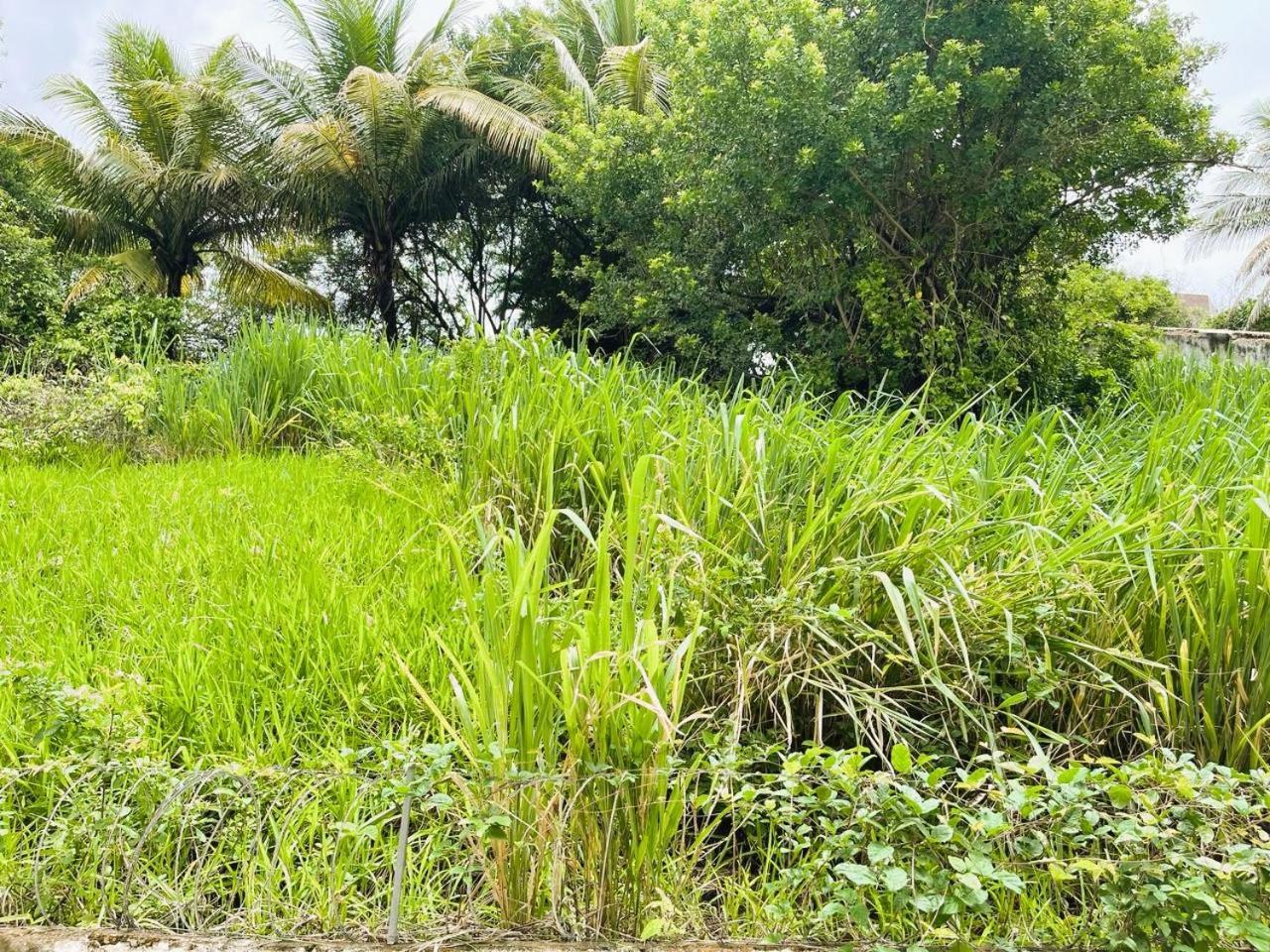 De 3 Ambientes Com Aconchego E Excellente Localizacao * Salvador